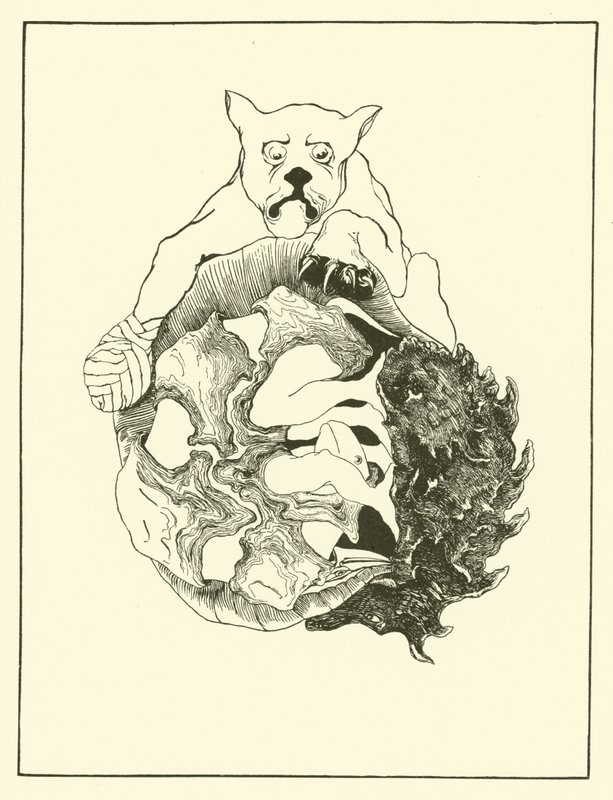 Cała historia Jaguara i Jeża, Żółwia i Pancernika w kupie (grawerunek) autorstwa Joseph Rudyard (after) Kipling