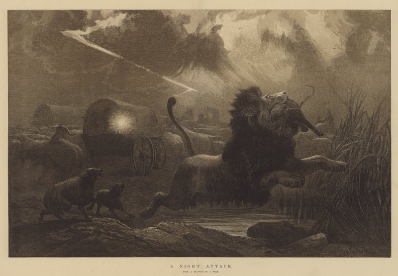 Nocny atak autorstwa Joseph Wolf