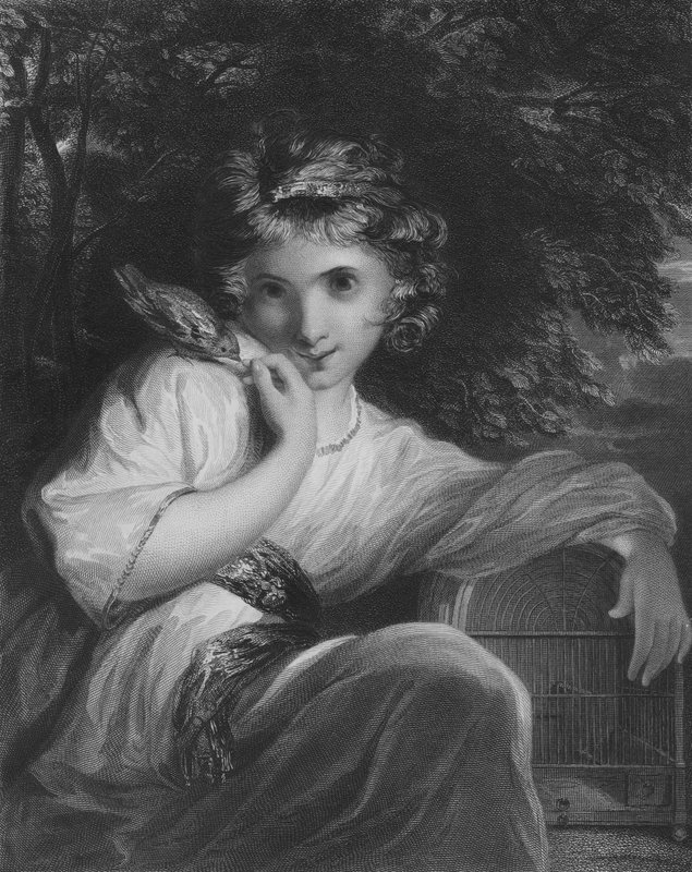 Kran autorstwa Joshua Reynolds