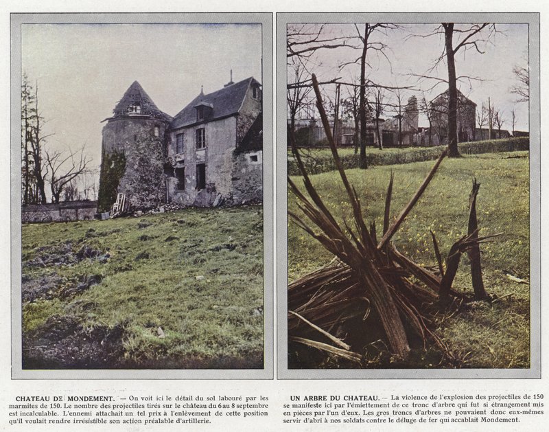 Chateau de Mondement, drzewo zamkowe autorstwa Jules Gervais Courtellemont