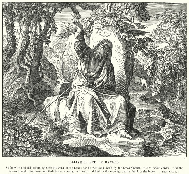 Eliasz jest karmiony przez kruki (rycina) autorstwa Julius (after) Schnorr von Carolsfeld