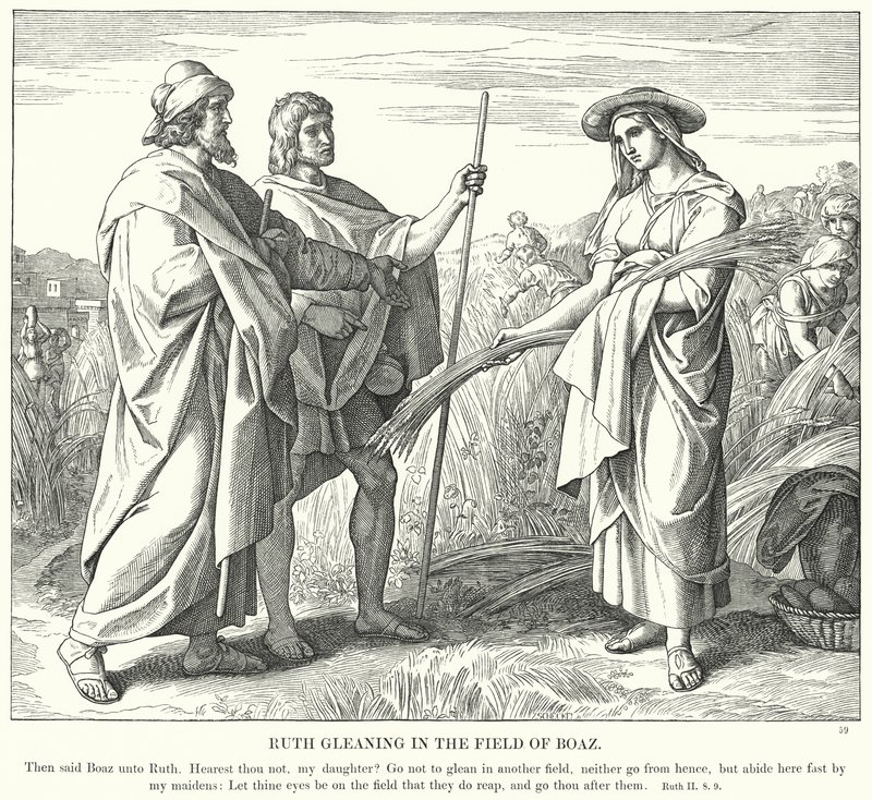 Rut Gleaning na polu Boaza (rycina) autorstwa Julius (after) Schnorr von Carolsfeld