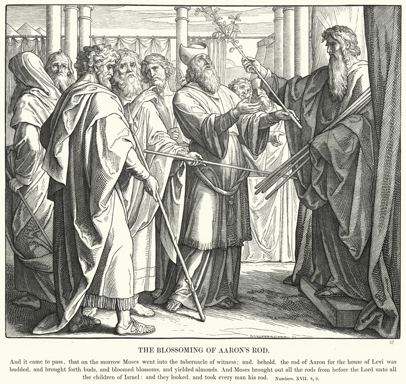 Rozkwit różdżki Aarona (rycina) autorstwa Julius (after) Schnorr von Carolsfeld