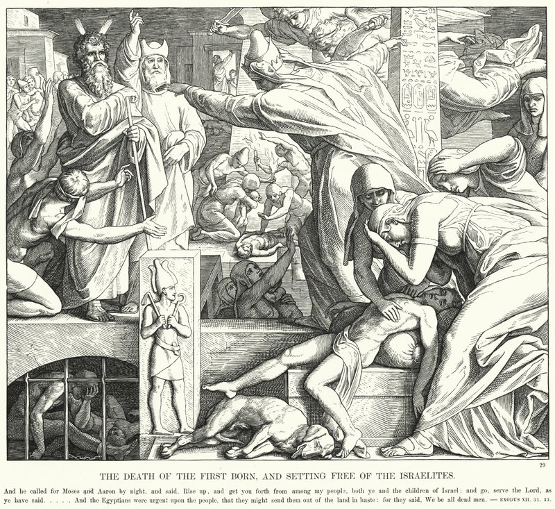 Śmierć pierworodnych i uwolnienie Izraelitów (rycina) autorstwa Julius (after) Schnorr von Carolsfeld