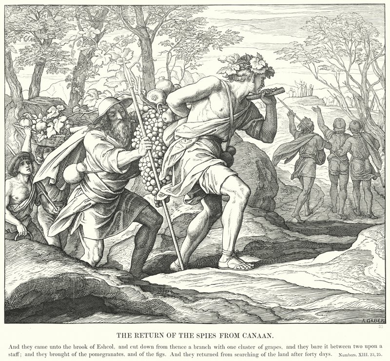 Powrót szpiegów z Kanaanu (rycina) autorstwa Julius (after) Schnorr von Carolsfeld