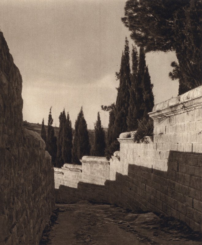 Jerozolima, Ogród Getsemani (zdjęcie czarno-białe) autorstwa Karl Grober