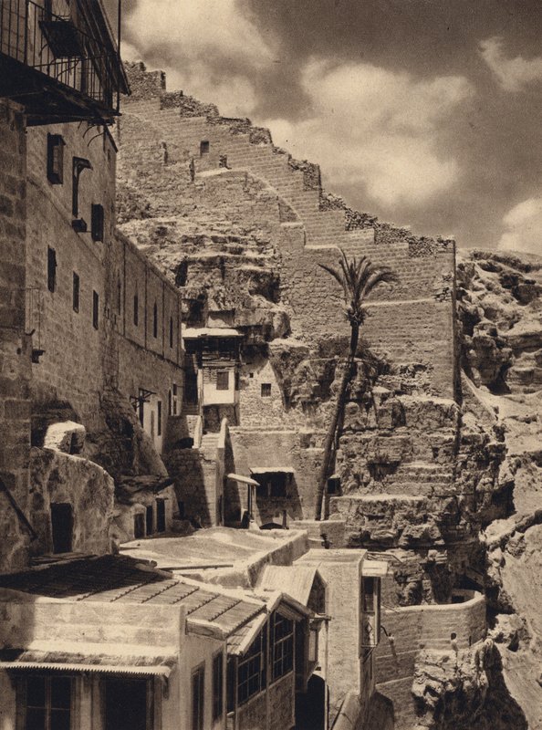 Mar Saba, Palma św. Sabasa (zdjęcie czarno-białe) autorstwa Karl Grober