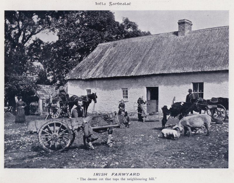 Irlandzkie gospodarstwo rolne (zdjęcie czarno-białe) autorstwa Karl Karlovich Piratsky