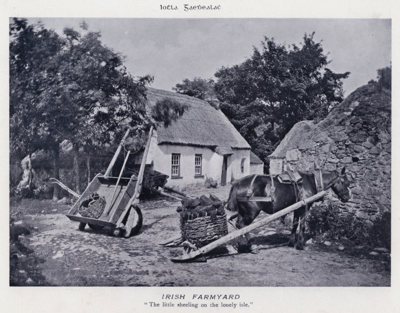 Irlandzkie gospodarstwo rolne (zdjęcie czarno-białe) autorstwa Karl Karlovich Piratsky