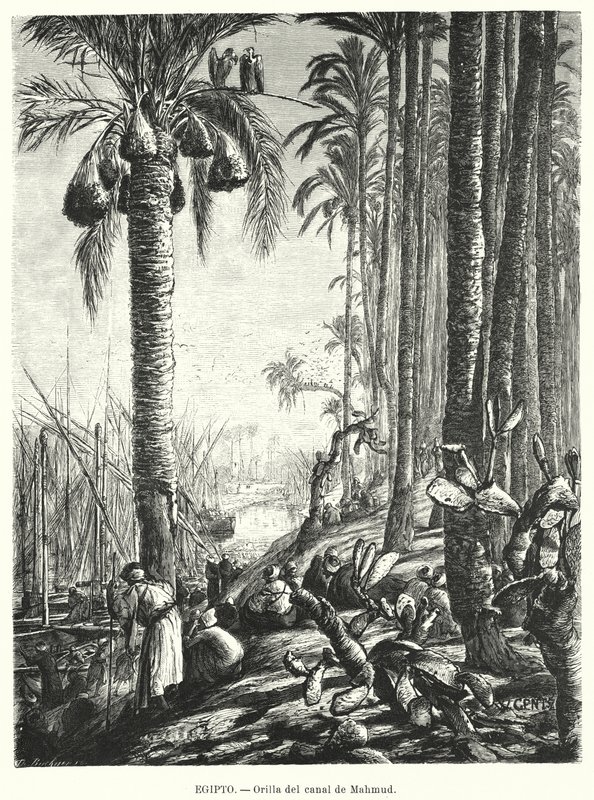 Brzegi Kanału Mahmoudiyah, Egipt (lito) autorstwa Karl Wilhelm Gentz