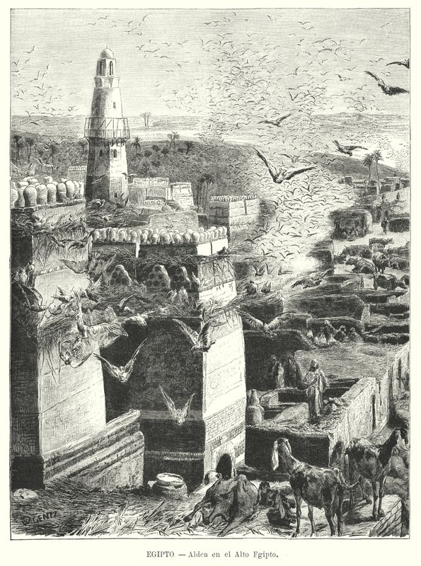 Wieś w Górnym Egipcie (lito) autorstwa Karl Wilhelm Gentz