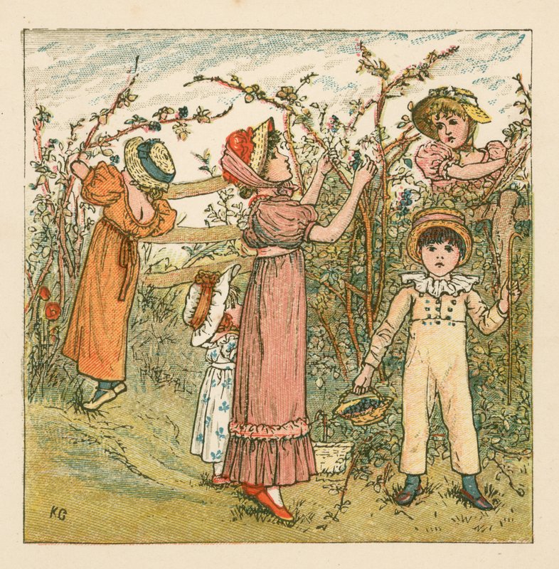 Zbieranie jeżyn autorstwa Kate Greenaway