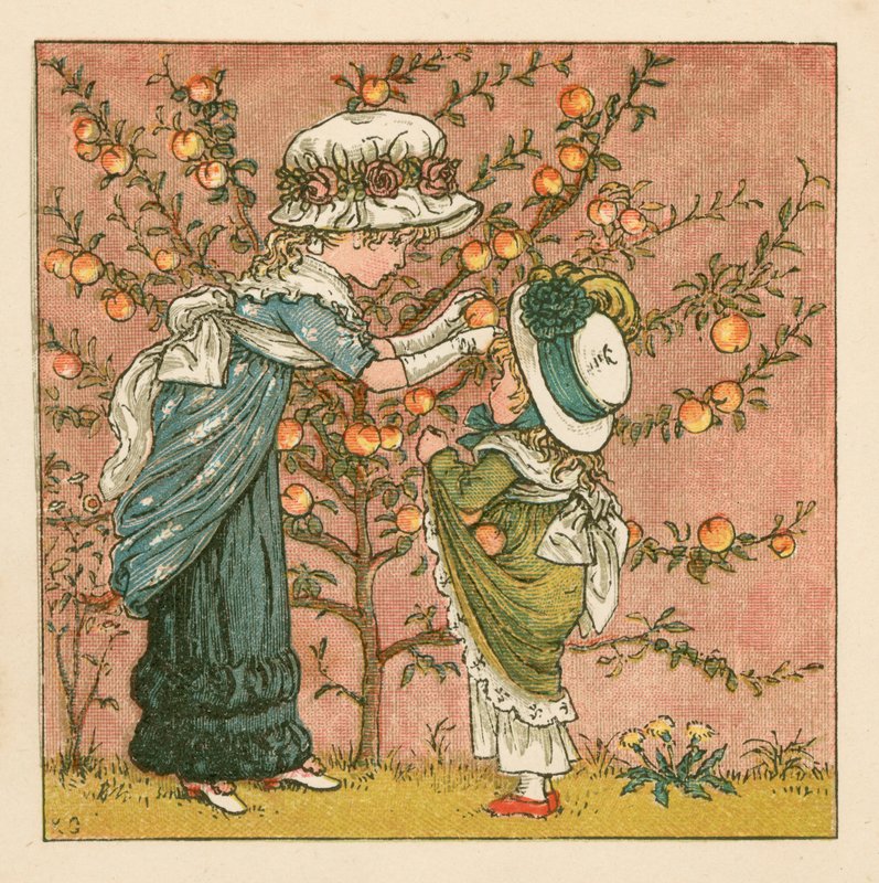 Zbieranie brzoskwiń autorstwa Kate Greenaway