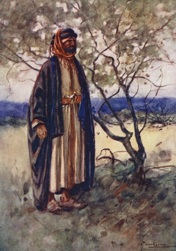 Ludność Egiptu: Beduin Arab, Bedawi (kolorowa litografia) autorstwa Lance Thackeray