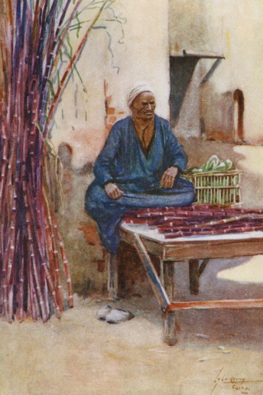 Ludzie Egiptu: Sprzedawca trzciny cukrowej, Baia Kasseb (kolorowa litografia) autorstwa Lance Thackeray