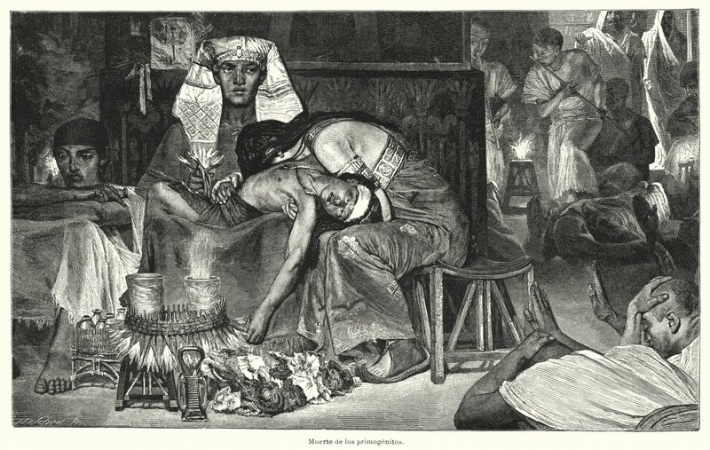 Śmierć pierworodnych: ostatnia z dziesięciu plag egipskich (lito) autorstwa Lawrence (after) Alma Tadema