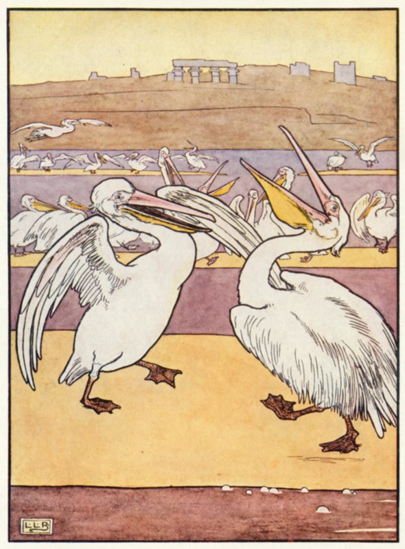 Chór Pelikana autorstwa Leonard Leslie Brooke