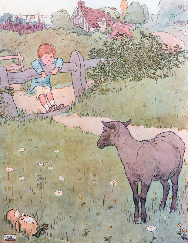 Albo albo Czarna Owca autorstwa Leonard Leslie Brooke