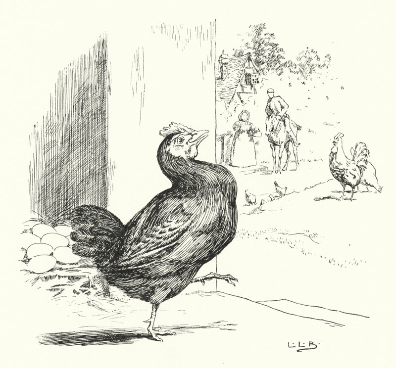 Higgly Piggly, moja czarna kura (grawerunek) autorstwa Leonard Leslie Brooke