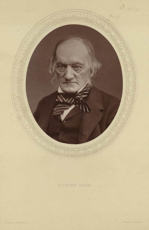 Portret Sir Richarda Owena autorstwa Lock and Whitfield