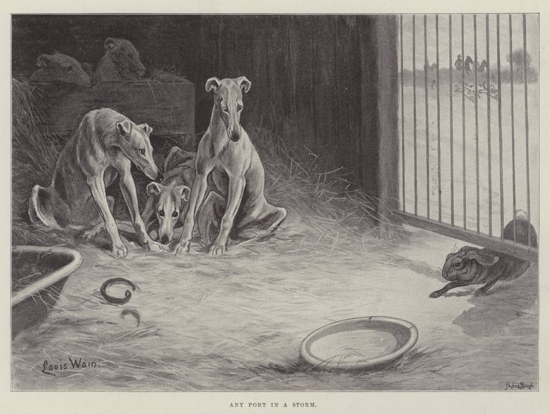 Dowolny port podczas burzy autorstwa Louis Wain