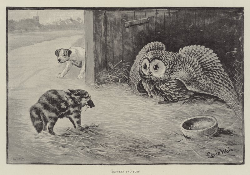 Między dwoma wrogami autorstwa Louis Wain