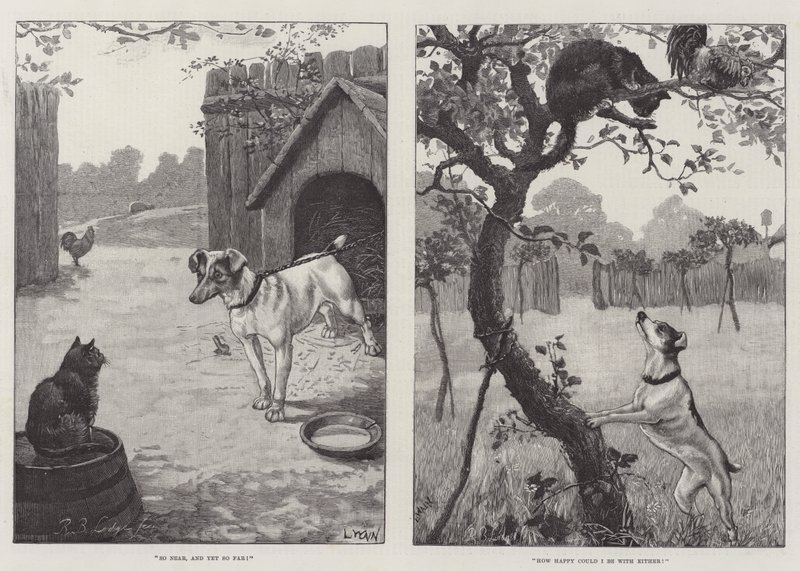 Koty i psy autorstwa Louis Wain