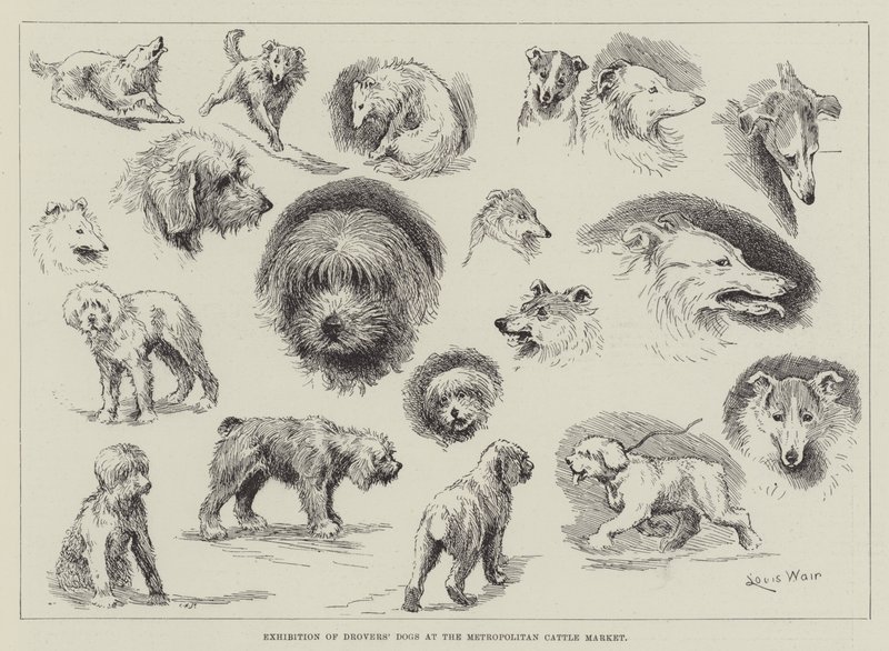 Wystawa Psów Poganiaczy na Metropolitan Cattle Market autorstwa Louis Wain