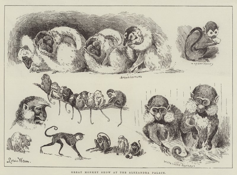 Wielki pokaz małp w Alexandra Palace autorstwa Louis Wain