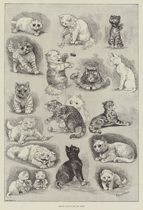 Życie kotka na wystawie kotów autorstwa Louis Wain
