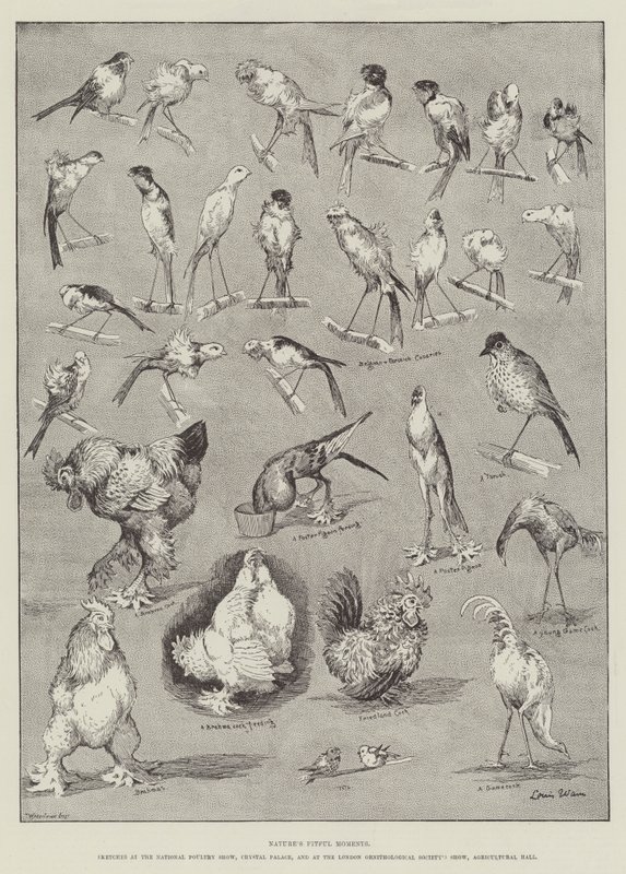 Niespokojne chwile natury autorstwa Louis Wain