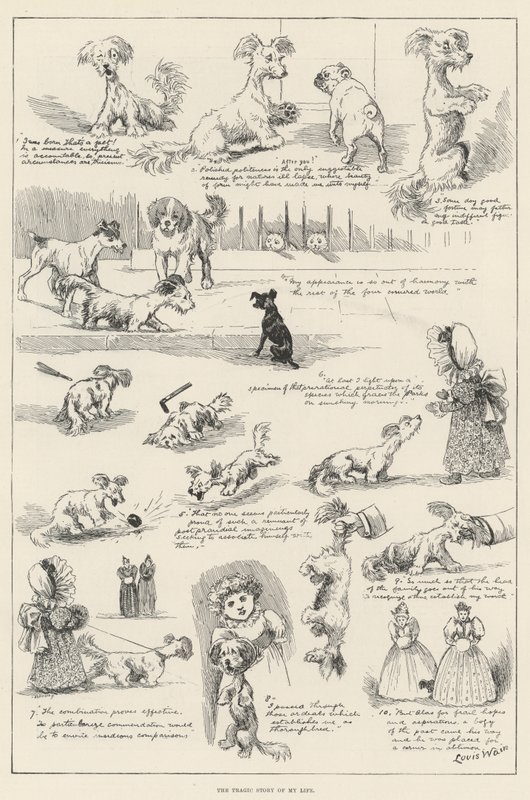 Tragiczna historia mojego życia autorstwa Louis Wain