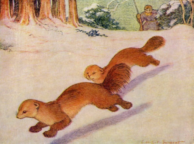 W zoo: Martens (kolor lito) autorstwa Louis Augustus Sargent