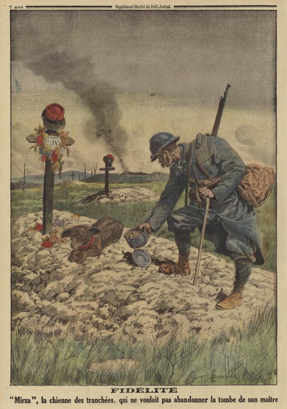 Lojalność: francuski pies wojskowy odmawia opuszczenia grobu swojego zmarłego pana, I wojna światowa autorstwa Louis Charles (after) Bombled