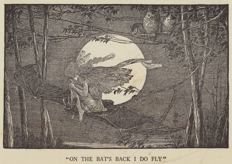 Na plecach nietoperzy latam autorstwa Louis John Rhead