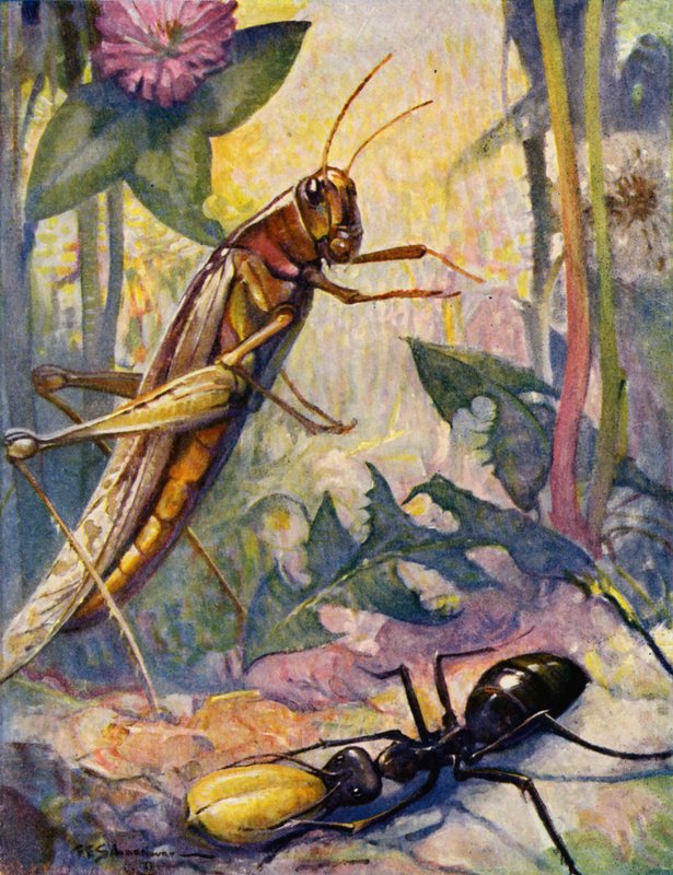Mrówka i Grashopper (kolorowa litografia) autorstwa Louis John Rhead