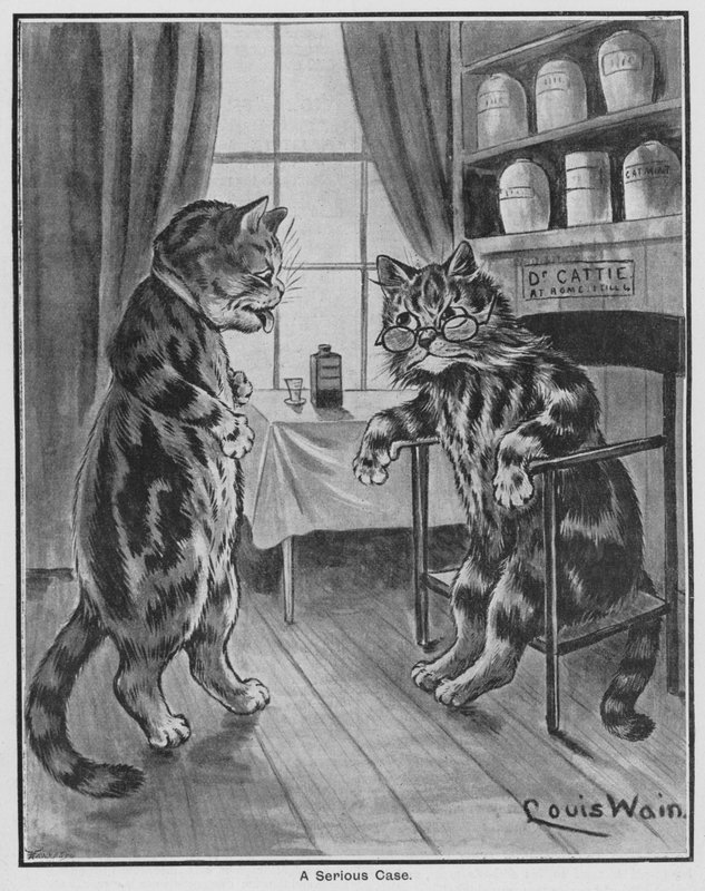 Poważna sprawa (grawerunek) autorstwa Louis Wain