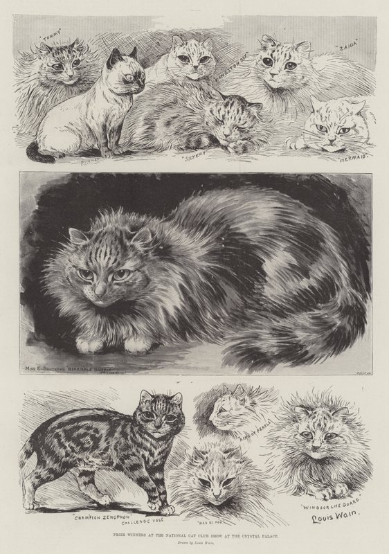 Laureaci na Krajowej Klubowej Wystawie Kotów w Crystal Palace autorstwa Louis Wain