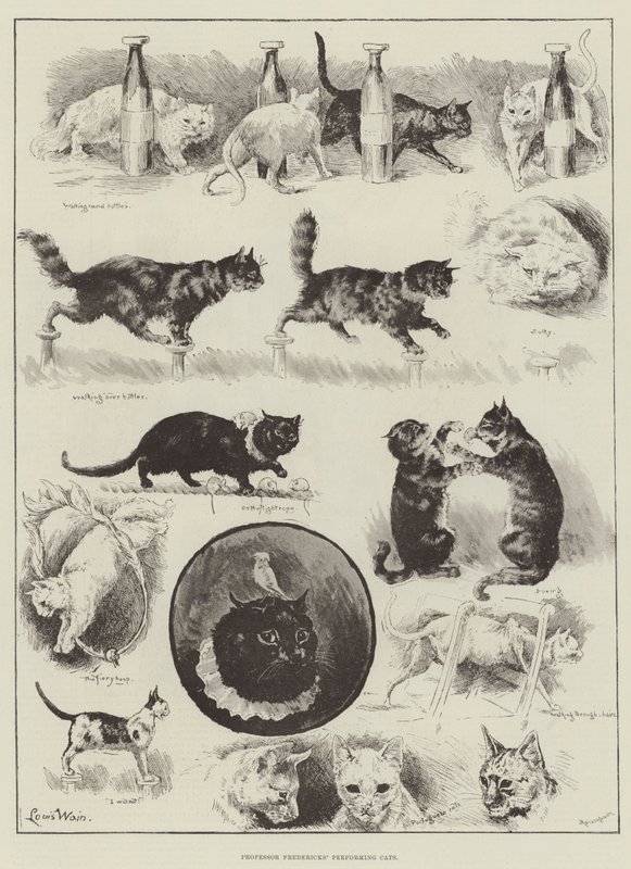 Występujące koty profesora Fredericksa autorstwa Louis Wain