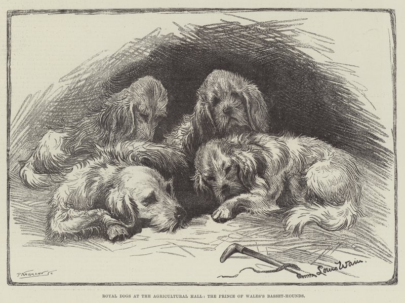Królewskie psy w sali rolniczej, Basset-Hounds księcia Walii autorstwa Louis Wain