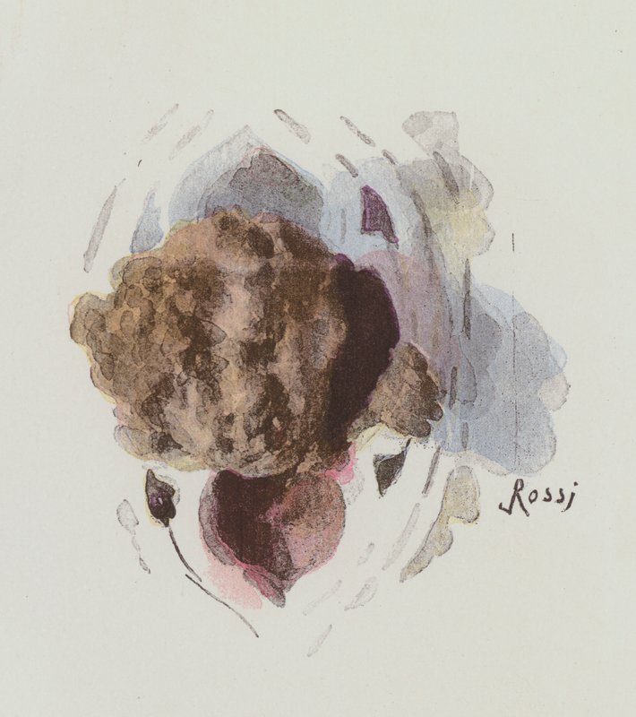 Ilustracja do Notre-Dame De Paris autorstwa Victora Hugo autorstwa Lucius Rossi