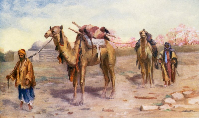 Wielbłądy i kierowcy przed Damaszkiem (kolorowa litografia) autorstwa Margaret Thomas
