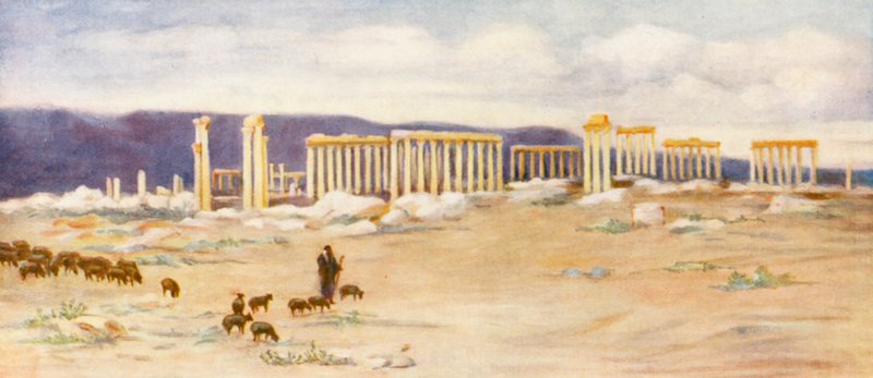 Widok ogólny kolumnady w Palmyrze (kolorowa litografia) autorstwa Margaret Thomas