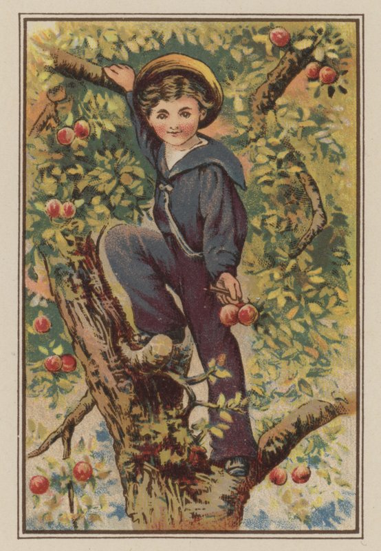 Chłopiec wspinający się na jabłoń (chromolitho) autorstwa Mary Ellen Edwards