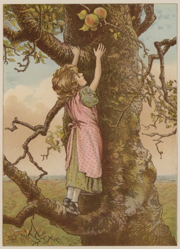 Dziewczyna wspina się po ostatnie jabłka (chromolitho) autorstwa Mary Ellen Edwards