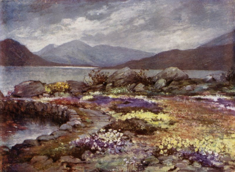 Scottish Gardens: Corrour (kolor lito) autorstwa Mary Georgina Wade Wilson