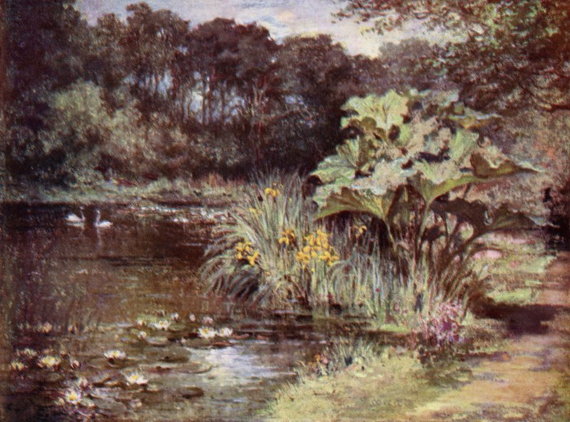 Scottish Gardens: Culzean (kolor lito) autorstwa Mary Georgina Wade Wilson