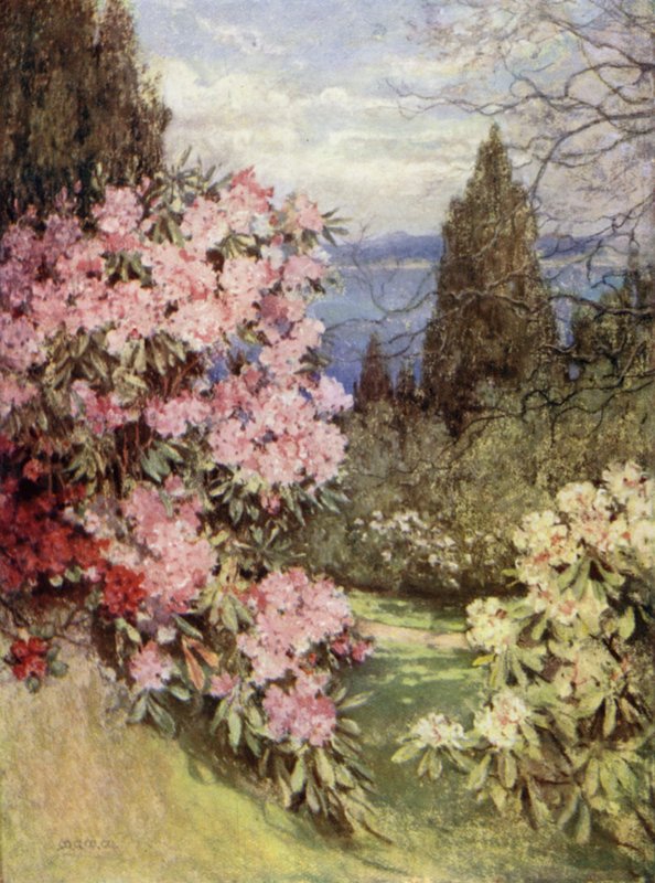 Szkockie ogrody: Stonefield autorstwa Mary Georgina Wade Wilson
