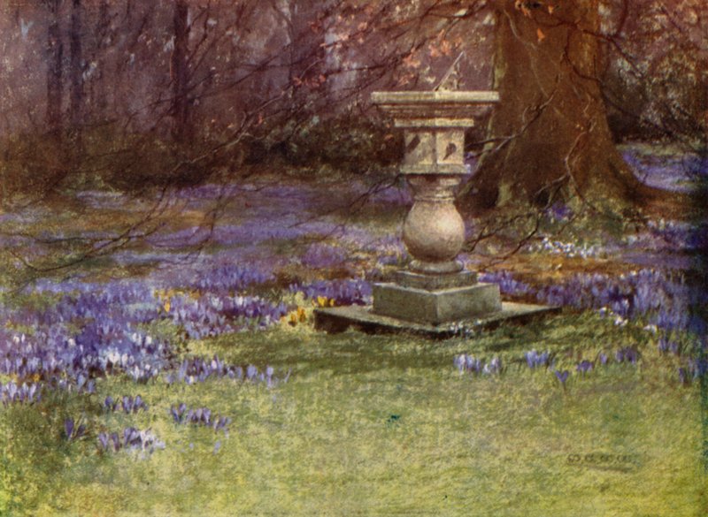 Scottish Gardens: Whitehouse (kolor lito) autorstwa Mary Georgina Wade Wilson