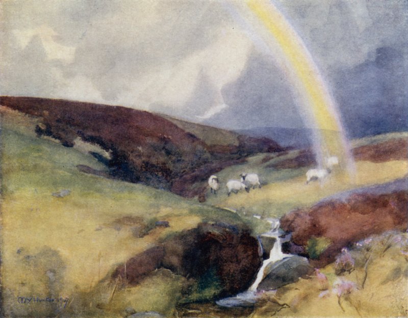 Źródło Clyde (kolor lito) autorstwa Mary Young Hunter